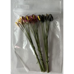 Blommor 30 st Mini kallor i...