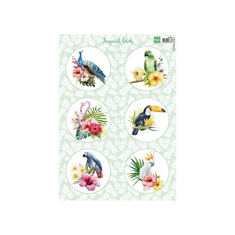 Marianne D Klippark Tropical Birds
