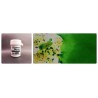 Colourcraft Brusho Styckvis / Burk 15 g. leaf green