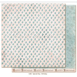 Maja Design 12x12 Special Day - Collection Pack