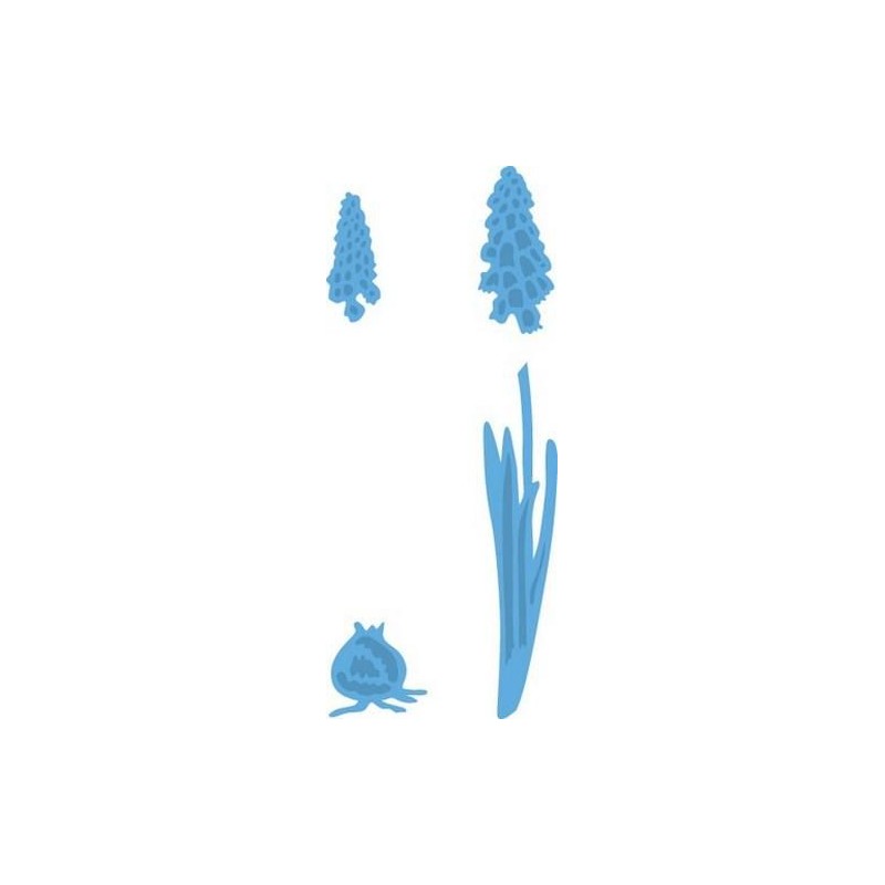 Marianne D Creatable Tiny‘s Grape Hyacinths LR0402