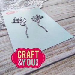 Craft & You Dies "Set of...