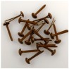 Nellie Snellen • Floral Brads 3mm (40pcs/pkg) Brown 469U