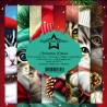 Paper Favourites Paper Pack "Christmas Kitties" PF253