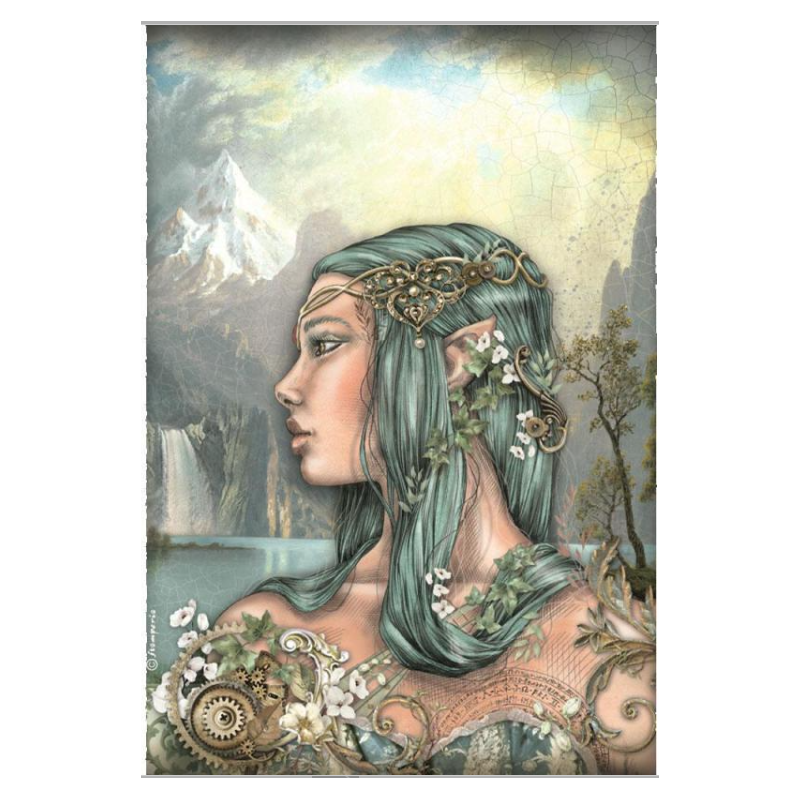 Stamperia A4 Rice paper packed - Magic Forest amazon