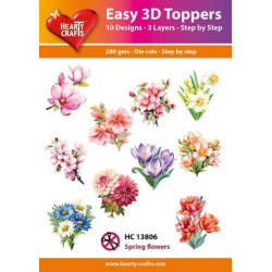 Easy 3D Toppers 10 ASS....