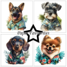Paper Favourites 6x6 Paper Pack "Summer Dogs" PF275
