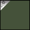 Paper Favourites Smooth Cardstock 30,5x30,5 "Forest Green" PFSS521