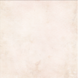 Reprint 12x12 Paperpack- Forever Collection