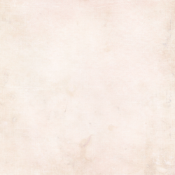 Reprint 8x8 Paperpack  - Forever Collection