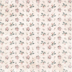 Reprint 8x8 Paperpack  - Forever Collection