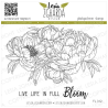 Lesia Stamp Set "Peony flowers with sentiments "Live life in full Bloom"