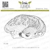 Lesia Stamp "Sleeping fawn"
