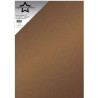 Paper Favourites Pearl Paper "Golden Brown" 240g PFSS406