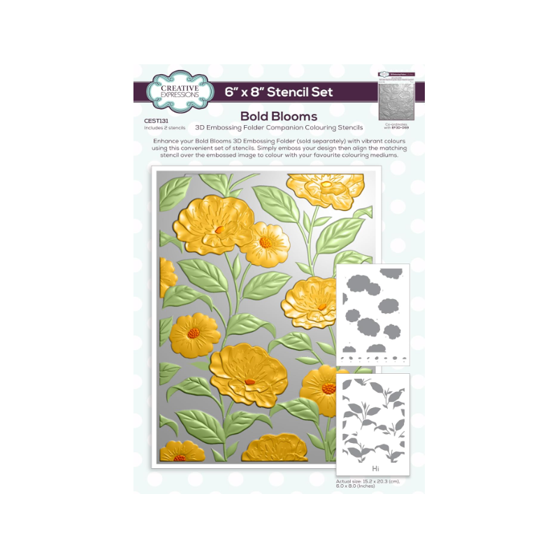 Creative Expressions Bold Blooms Companion Painting Stencil Set  2 Pack CEST131