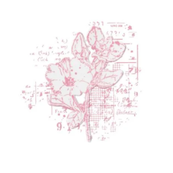 Sizzix • Framelits Die Set with Stamp Floral Mix Cluster 49 and Market