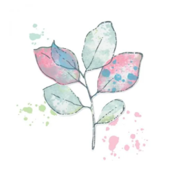 Sizzix • Clear Stamps Set A5 with Framelits Die Painted Pencil Leaves 49 and Market