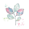 Sizzix • Clear Stamps Set A5 with Framelits Die Painted Pencil Leaves 49 and Market