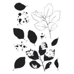 Sizzix • Clear Stamps Set A5 with Framelits Die Painted Pencil Leaves 49 and Market