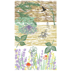 Sizzix Clear Stamp Set - Nature (17 dies plus 3 stencils)