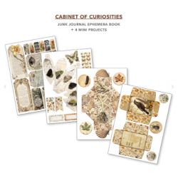 Ciao Bella - Junk Journal A4 Ephemera Book - Cabinet of Curiosities 32/pkg