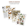 Ciao Bella - Junk Journal A4 Ephemera Book - Cabinet of Curiosities 32/pkg