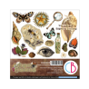 Ciao Bella 6x6 Fussy Cut Cabinet of curiosities