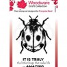 Woodware Clear stamp MINI "Little Ladybird" 9,6 x 6,6 cm