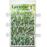 Lavinia Stencil no.15 Flora 15x20cm