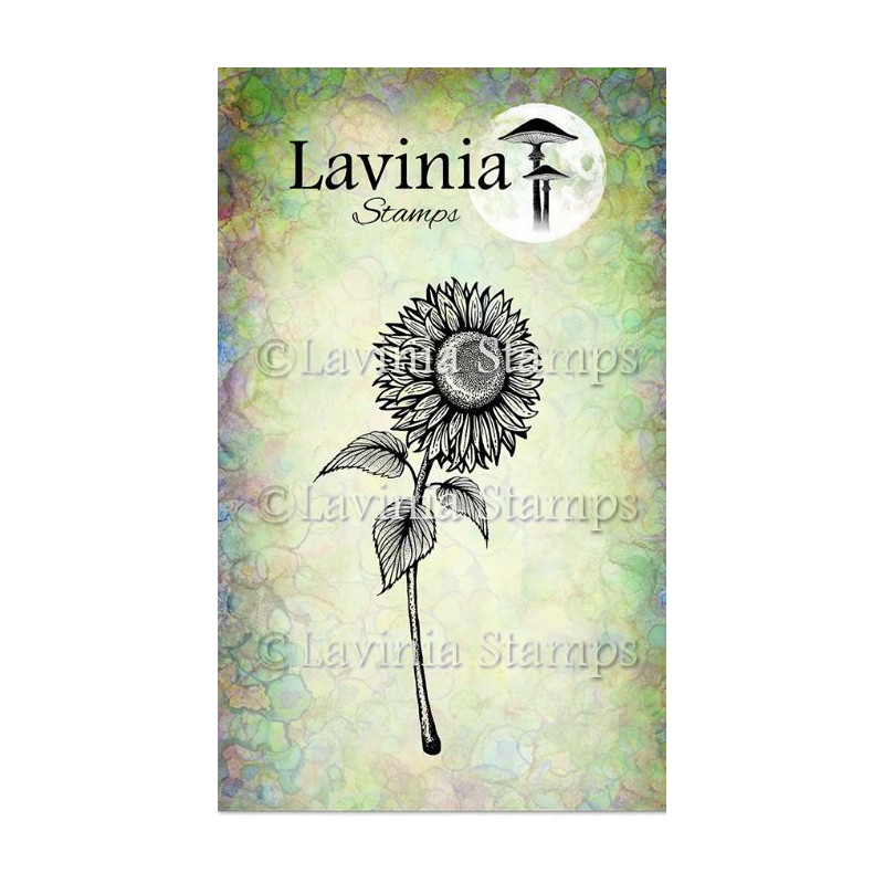 Lavinia sunflower 1