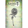 Lavinia sunflower 1