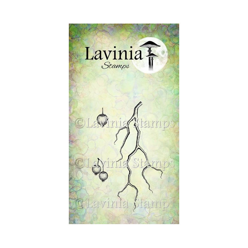 Lavinia Berry branch
