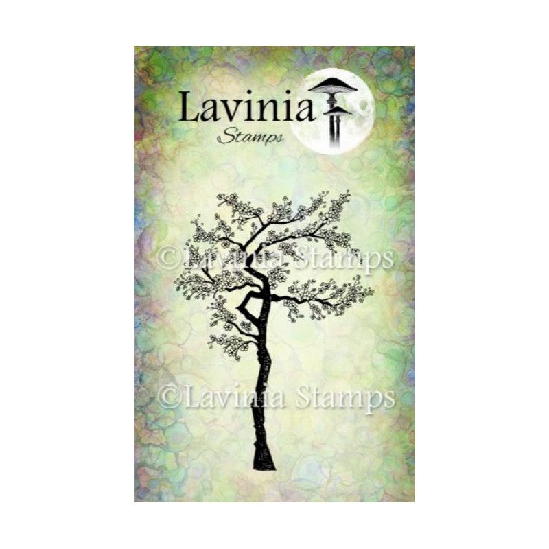 Lavinia Cherry blossom tree