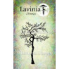 Lavinia Cherry blossom tree