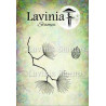 Lavinia Cedar LAV759