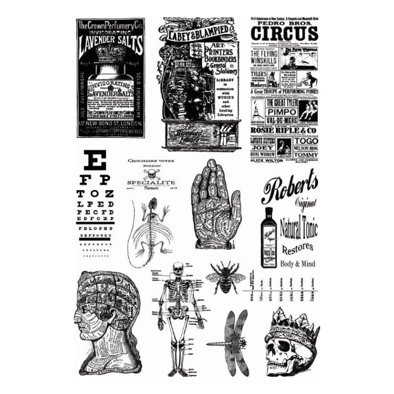 CE / Andy Skinner Mixed Media Transfer "Alchemy Plus" CEAST001