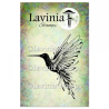 Lavinia Hummingbird Large Stamp LAV895