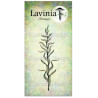 Lavinia stamp Marine Kelp LAV625