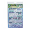 Lavinia Stamps Stickers 2