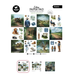 Studio Light • Essentials...