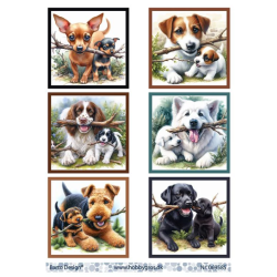 Barto 3D ark A4 bild ark