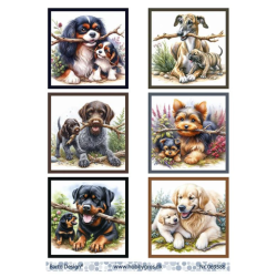 Barto 3D ark A4 bild ark