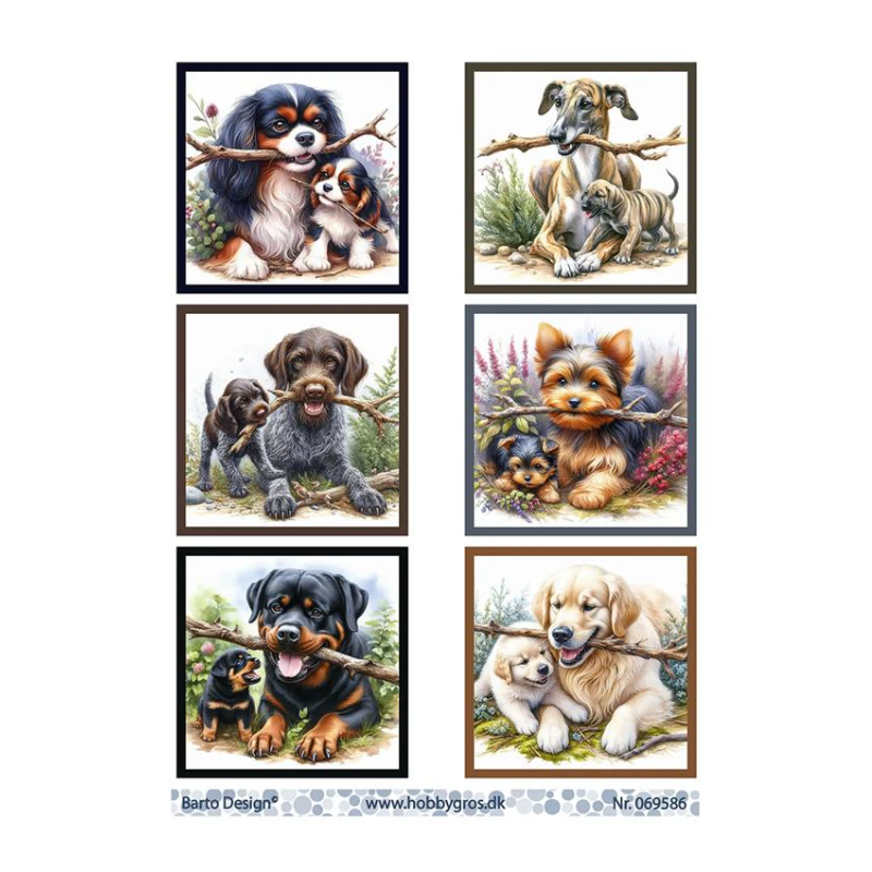 Barto 3D ark A4 bild ark