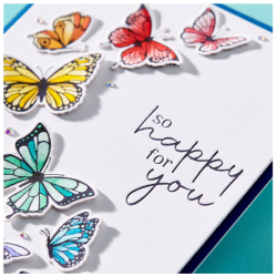 Spellbinders Butterfly Swirl Press Plate & Die Set (BP-031)