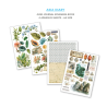 Ciao Bella Asia Diary A4 Junk Journal Ephemera Book (32pcs) (CBB028)