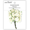 Little Birdie Handmade Flowers Catalina Ivory Pearl (12pcs) (CR103089)