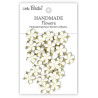 Little Birdie Handmade Flowers Elira Ivory Pearl (24pcs) (CR103059)