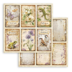 Stamperia All Around 12x12 Inch Paper Pack (SBBL187)