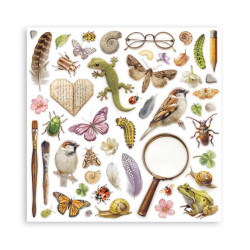 Stamperia All Around 8x8 Inch Paper Pack (Single Face) (SBBSXB25)