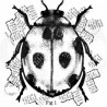 Woodware Clear Stamp Ladybird 10x10cm